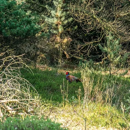 Herborg - 1km From The Sea By Interhome Molby