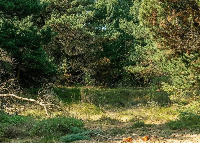 Herborg - 1km From The Sea By Interhome Ferienhaus *