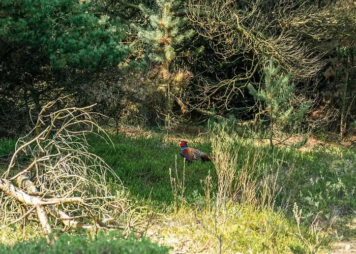 Herborg - 1km From The Sea By Interhome Molby